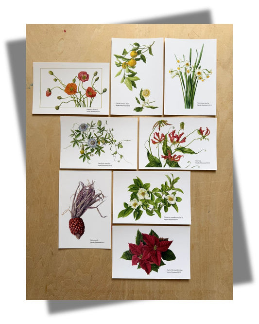 New Arrival | ボタニカルアート ポストカードセットA
