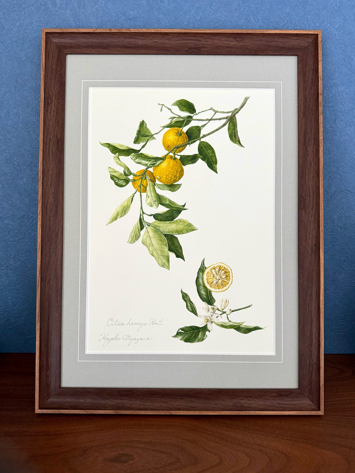 Citrus hanayu｜Impression Giclée Encadrée