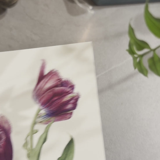 PostcardB_ⓒKayoko Miyazawa